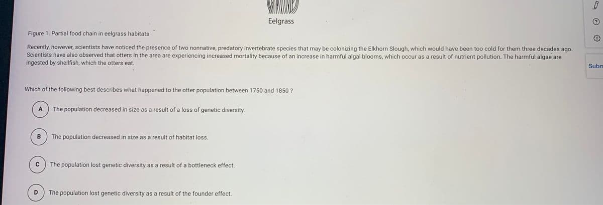 Eelgrass
Figure 1. Partial food chain in eelgrass habitats
Recently, however, scientists have noticed the presence of two nonnative, predatory invertebrate species that may be colonizing the Elkhorn Slough, which would have been too cold for them three decades ago.
Scientists have also observed that otters in the area are experiencing increased mortality because of an increase in harmful algal blooms, which occur as a result of nutrient pollution. The harmful algae are
ingested by shellfish, which the otters eat.
Subm
Which of the following best describes what happened to the otter population between 1750 and 1850 ?
A
The population decreased in size as a result of a loss of genetic diversity.
The population decreased in size as a result of habitat loss.
C
The population lost genetic diversity as a result of a bottleneck effect.
D
The population lost genetic diversity as a result of the founder effect.

