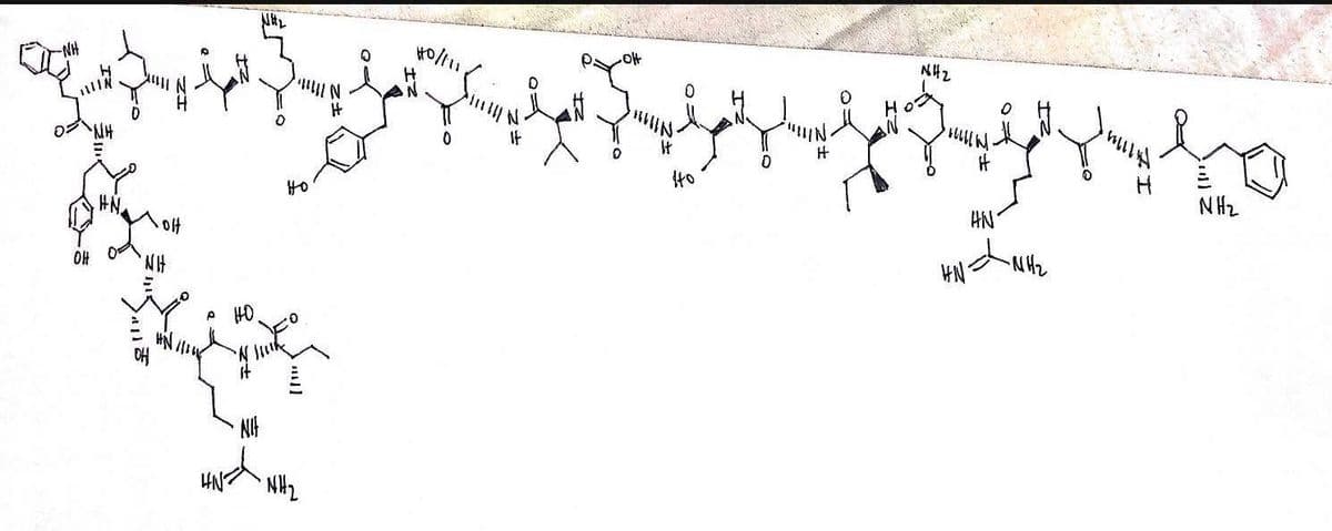 NH2
If
111M
NH2
It
HN.
oH
HN
OH
NH
HN
HO
NH
