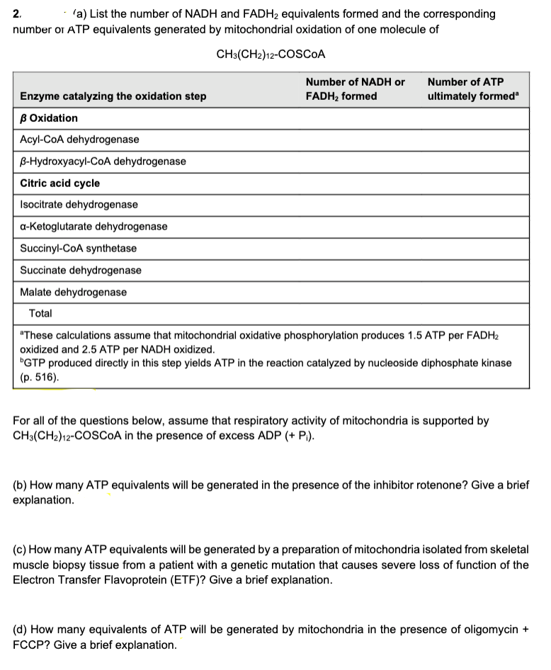 2.
'a) List the number of NADH and FADH2 equivalents formed and the corresponding
number or ATP equivalents generated by mitochondrial oxidation of one molecule of
CH3(CH2)12-COSCOA
Number of NADH or
Number of ATP
Enzyme catalyzing the oxidation step
FADH, formed
ultimately formed
B Oxidation
Acyl-CoA dehydrogenase
B-Hydroxyacyl-CoA dehydrogenase
Citric acid cycle
Isocitrate dehydrogenase
a-Ketoglutarate dehydrogenase
Succinyl-CoA synthetase
Succinate dehydrogenase
Malate dehydrogenase
Total
"These calculations assume that mitochondrial oxidative phosphorylation produces 1.5 ATP per FADH2
oxidized and 2.5 ATP per NADH oxidized.
"GTP produced directly in this step yields ATP in the reaction catalyzed by nucleoside diphosphate kinase
(p. 516).
For all of the questions below, assume that respiratory activity of mitochondria is supported by
CH3(CH2)12-COSCOA in the presence of excess ADP (+ P).
(b) How many ATP equivalents will be generated in the presence of the inhibitor rotenone? Give a brief
explanation.
(c) How many ATP equivalents will be generated by a preparation of mitochondria isolated from skeletal
muscle biopsy tissue from a patient with a genetic mutation that causes severe loss of function of the
Electron Transfer Flavoprotein (ETF)? Give a brief explanation.
(d) How many equivalents of ATP will be generated by mitochondria in the presence of oligomycin +
FCCP? Give a brief explanation.
