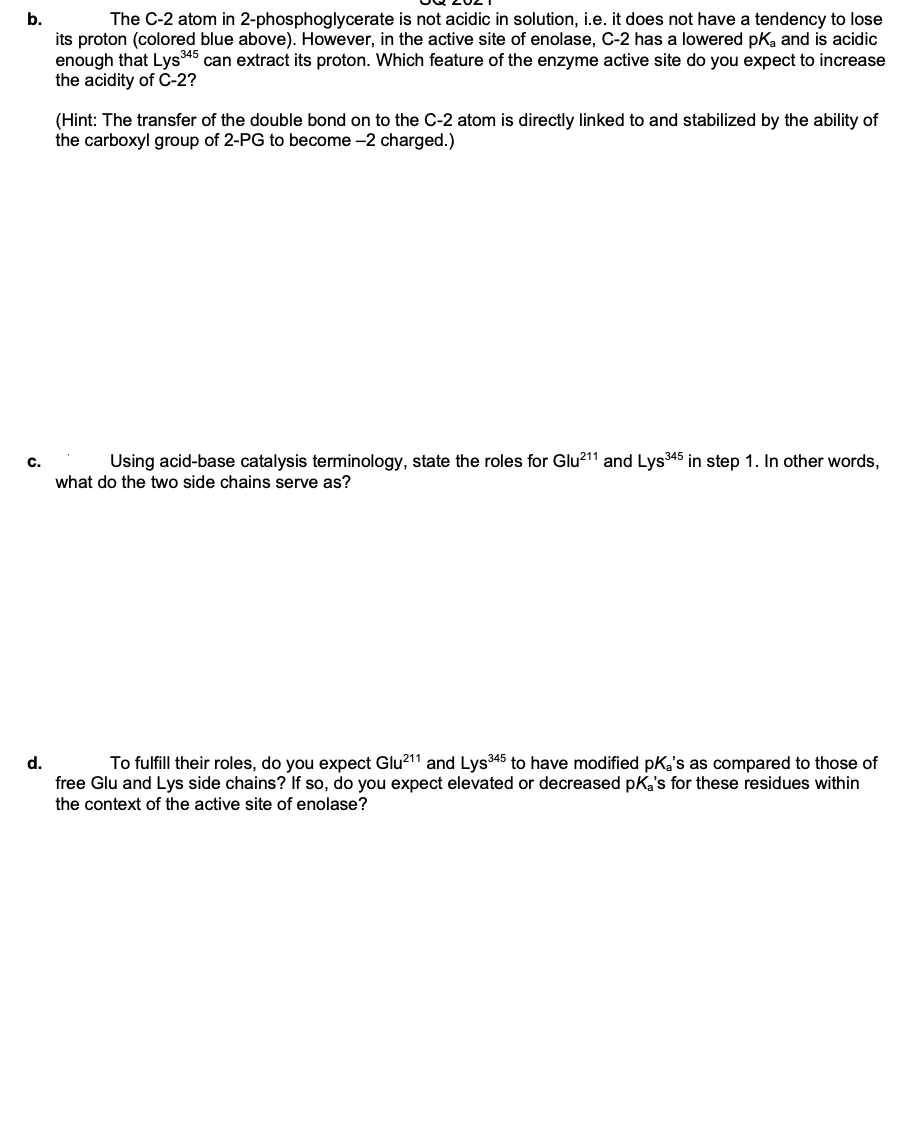b.
The C-2 atom in 2-phosphoglycerate is not acidic in solution, i.e. it does not have a tendency to lose
its proton (colored blue above). However, in the active site of enolase, C-2 has a lowered pKa and is acidic
enough that Lys45 can extract its proton. Which feature of the enzyme active site do you expect to increase
the acidity of C-2?
(Hint: The transfer of the double bond on to the C-2 atom is directly linked to and stabilized by the ability of
the carboxyl group of 2-PG to become -2 charged.)
C.
Using acid-base catalysis terminology, state the roles for Glu211 and Lys345 in step 1. In other words,
what do the two side chains serve as?
To fulfill their roles, do you expect Glu211 and Lys345 to have modified pka's as compared to those of
free Glu and Lys side chains? If so, do you expect elevated or decreased pKa's for these residues within
d.
the context of the active site of enolase?
