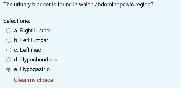 The urinary bladder is found in which abdominopelvic region?
Select one:
a. Right lumbar
O b. Left lumbar
O c. Left iliac
d. Hypochondriac
e. Hypogastric
Clear my choice
