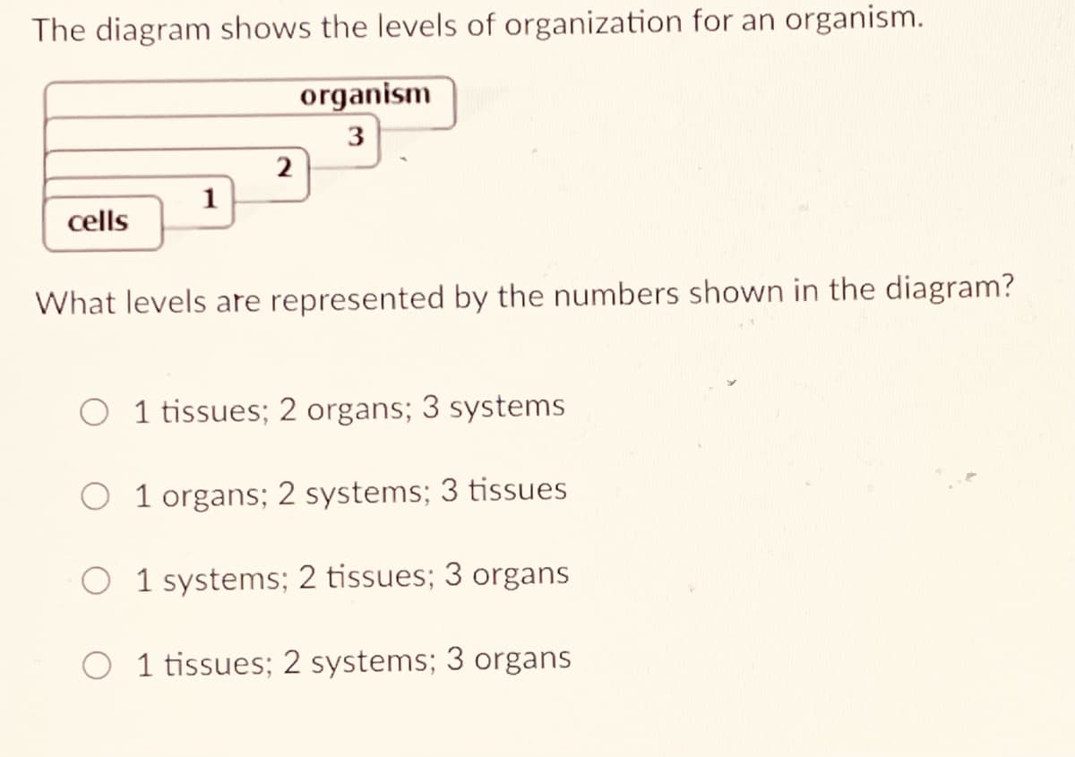 The diagram shows the levels of organization for an organism.
organism
3
1
cells
What levels are represented by the numbers shown in the diagram?
O 1 tissues; 2 organs; 3 systems
O 1 organs; 2 systems; 3 tissues
O 1 systems; 2 tissues; 3 organs
O 1 tissues; 2 systems; 3 organs
