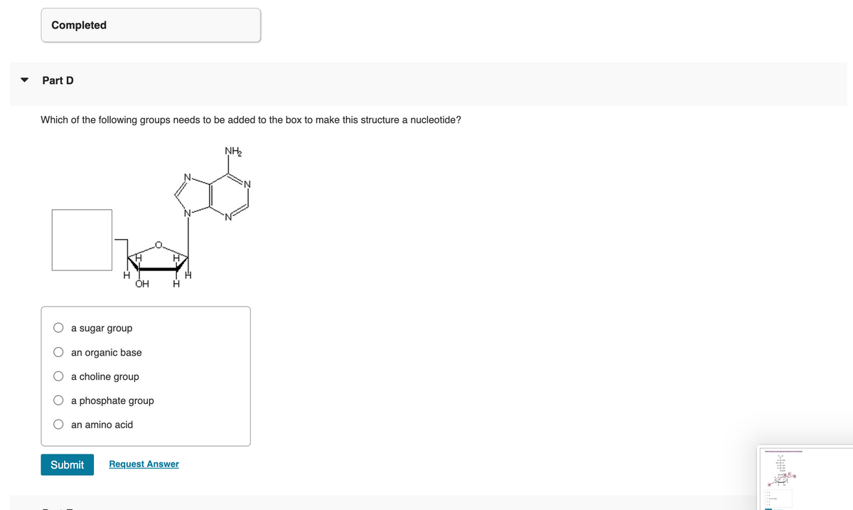 Completed
Part D
Which of the following groups needs to be added to the box to make this structure a nucleotide?
H
a sugar group
OH
an organic base
a choline group
a phosphate group
an amino acid
H
Submit Request Answer
NH₂
N
!!!