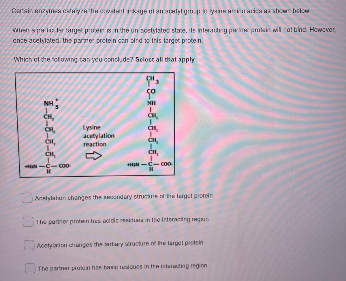 Certain enzymes catalyze the covalent linkage of an acetyl group to lysine amino acids as shown below.
When a particular target protein is in the un-acetylated state, its interacting partner protein will not bind. However,
once acetylated, the partner protein can bind to this target protein.
Which of the following can you conclude? Select all that apply
CH
CO
NH
3.
NH
Lysine
acetylation
reaction
CH,
CH,
+HaN -C- CO-
H.
HIN-C- Co-
H.
UAcetylation changes the secondary structure of the target protein
The partner protein has acidic residues in the interacting region
Acetylation changes the tertiary structure of the target protein
The partner protein has basic residues in the interacting region
8-1-8-8-8–8–d=
