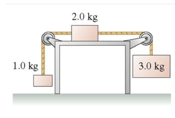 2.0 kg
3.0 kg
1.0 kg
