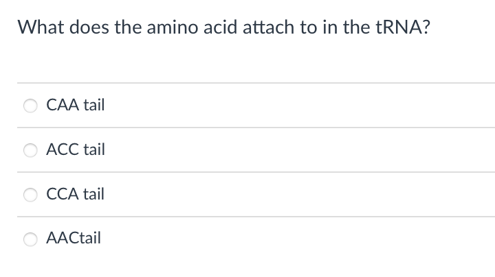 What does the amino acid attach to in the tRNA?
CAA tail
O ACC tail
CCA tail
AACtail
