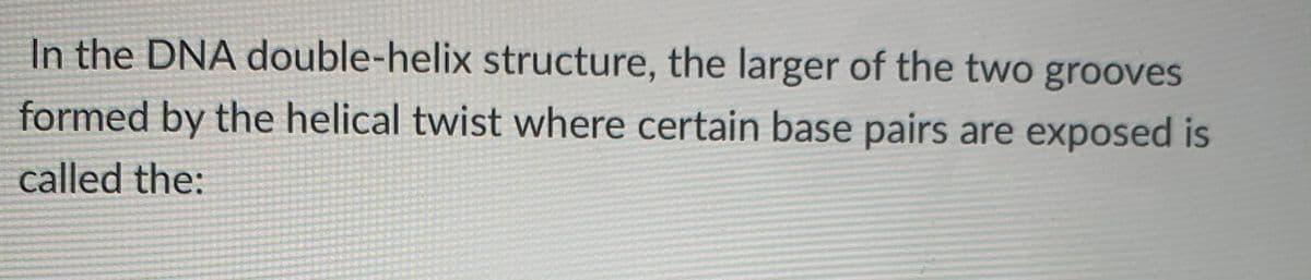 In the DNA double-helix structure, the larger of the two grooves
formed by the helical twist where certain base pairs are exposed is
called the:
