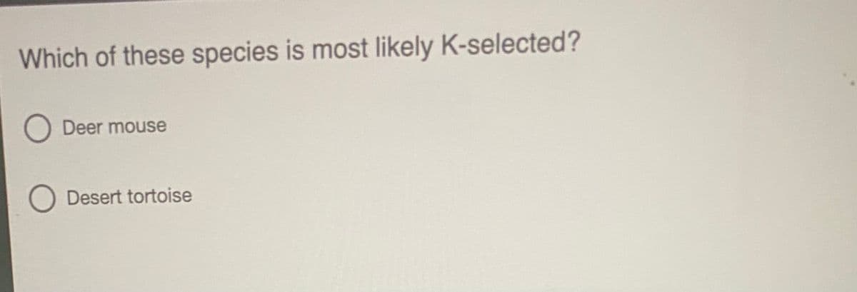 Which of these species is most likely K-selected?
Deer mouse
Desert tortoise
