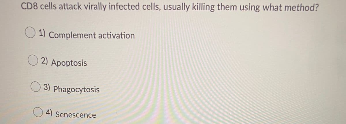 ### Immune Response Mechanisms

#### CD8 Cells Attack Virally Infected Cells

CD8 cells, also known as cytotoxic T cells, play a crucial role in the immune response by targeting and destroying cells that have been infected by viruses. They are equipped to identify and eliminate these compromised cells, thereby helping to contain and prevent the spread of viral infections.

**CD8 cells attack virally infected cells, usually killing them using what method?**

1. **Complement activation**
2. **Apoptosis**
3. **Phagocytosis**
4. **Senescence**

**Explanation:**

- **Complement activation**: This is a system of plasma proteins that can be activated directly by pathogens or indirectly by pathogen-bound antibody, leading to a cascade of reactions that help to destroy pathogens. However, this is not the primary method used by CD8 cells to kill virally infected cells.
  
- **Apoptosis**: This is a form of programmed cell death that is often induced by CD8 cells in their targets. CD8 cells release cytotoxins such as perforin and granzymes, which initiate apoptotic pathways in virally infected cells, leading to their systematic destruction. This is the correct mechanism used by CD8 cells to kill virally infected cells.
  
- **Phagocytosis**: This is the process where cells (like macrophages) engulf and digest cellular debris and pathogens. CD8 cells do not typically use this mechanism to kill virally infected cells.

- **Senescence**: This refers to the process where cells cease to divide and grow, often in response to stress or damage. This is not a killing mechanism utilized by CD8 cells.

The correct answer is **2) Apoptosis**. CD8 cells kill virally infected cells primarily by inducing apoptosis, ensuring the rapid and efficient removal of these compromised cells from the body.