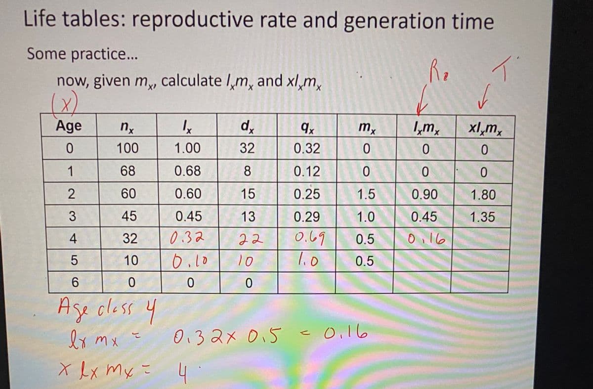 Life tables: reproductive rate and generation time
Some practice..
Ra
now, given m, calculate /,m, and xl,m,
(x)
Age
nx
dx
mx
,m,
xl,m,
100
1.00
32
0.32
1
68
0.68
8
0.12
60
0.60
15
0.25
1.5
0.90
1.80
45
0.45
13
0.29
1.0
0.45
1.35
32
0.32
22
0.69
0.5
Oi16
10
0.10
10
0.5
Age olass y
lx m x
Oi3 2x 0,5 c0.l6
こ
x Lx my こ 4
2.
3.
4-
