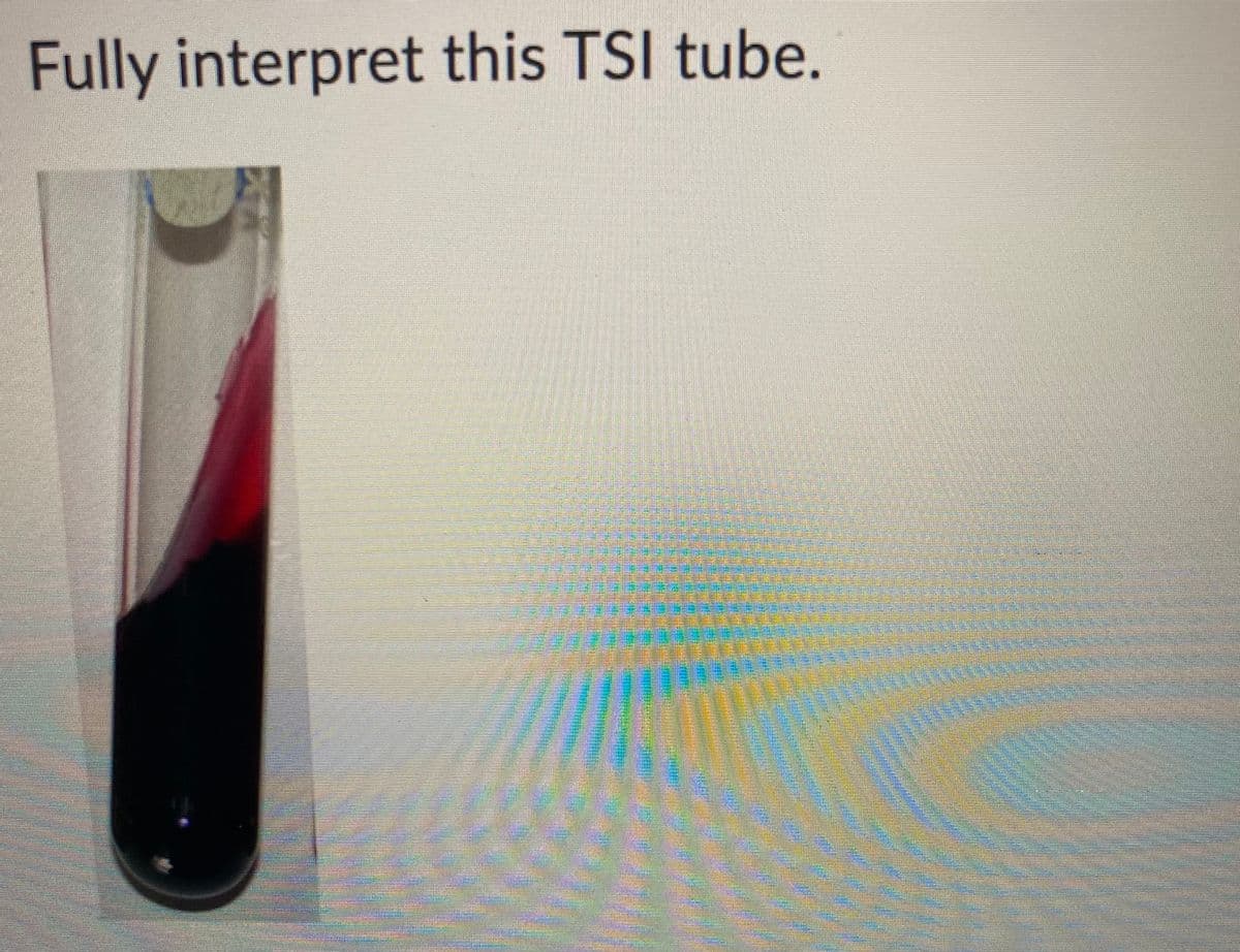 Fully interpret this TSI tube.
