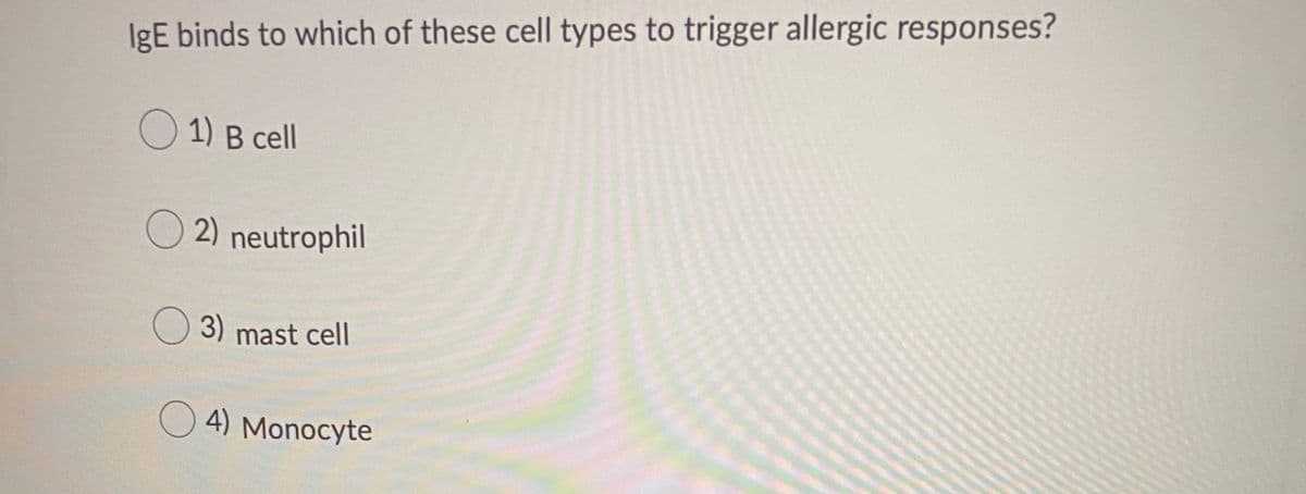 IgE binds to which of these cell types to trigger allergic responses?
O 1) B cell
O 2) neutrophil
O
3) mast cell
4) Monocyte
