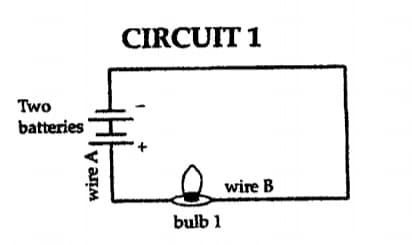 CIRCUIT 1
Two
batteries
wire B
bulb 1
wire A
