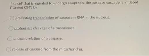 In a cell that is signaled to undergo apoptosis, the caspase cascade is initiated
("turned ON") by
promoting transcription of caspase MRNA in the nucleus.
proteolytic cleavage of a procaspase.
O phosphorylation of a caspase.
O release of caspase from the mitochondria.
