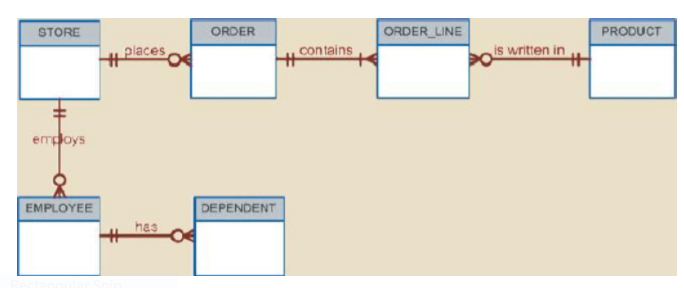 STORE
ORDER
ORDER LINE
PRODUCT
places
con tains
is written in
emdoys
EMPLOYEE
DEPENDENT
has
