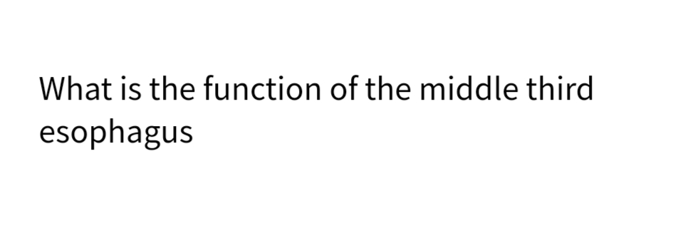 What is the function of the middle third
esophagus
