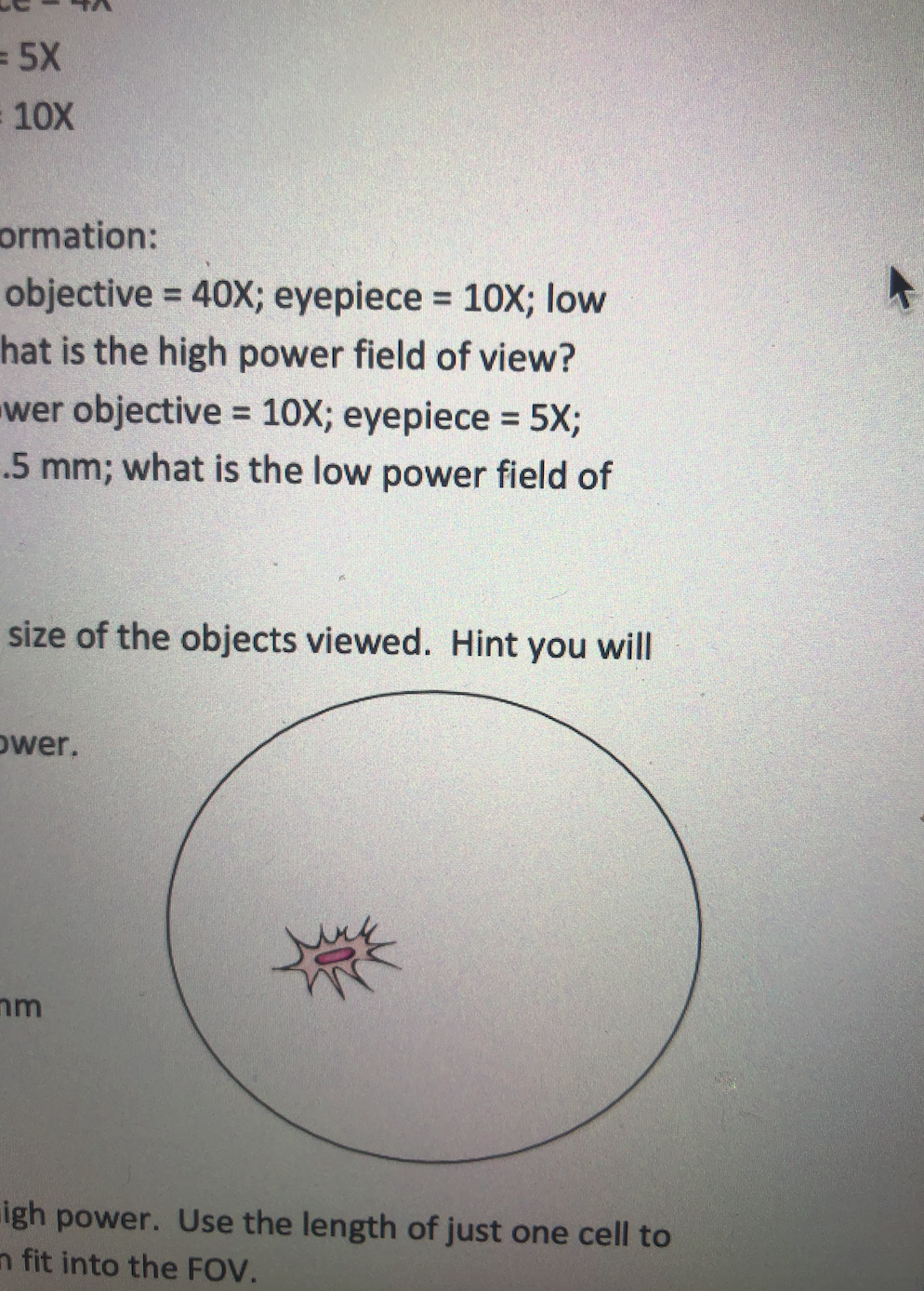 = 5X
= 10X
ormation:
objective = 40X; eyepiece = 10X; low
hat is the high power field of view?
%3D
%3D
wer objective = 10X; eyepiece = 5X;
.5 mm; what is the low power field of
%3D
%3D
size of the objects viewed. Hint you will
ower.
igh power. Use the length of just one cell to
n fit into the FOV.
