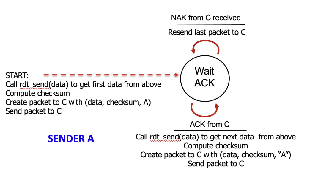 NAK from C received
Resend last packet to C
START:
Call rdt send(data) to get first data from above
Compute checksum
Create packet to C with (data, checksum, A)
Send packet to C
Wait
ACK
SENDER A
wwwww
ACK from C
Call rdt send(data) to get next data from above
Compute checksum
Create packet to C with (data, checksum, "A")
Send packet to C