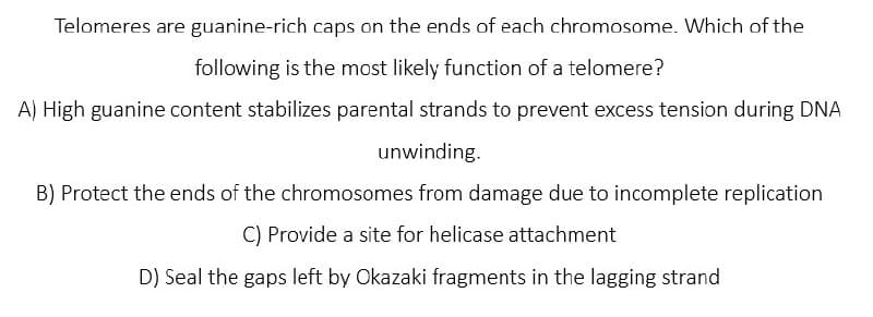 Telomeres are guanine-rich caps on the ends of each chromosome. Which of the
following is the most likely function of a telomere?
A) High guanine content stabilizes parental strands to prevent excess tension during DNA
unwinding.
B) Protect the ends of the chromosomes from damage due to incomplete replication
C) Provide a site for helicase attachment
D) Seal the gaps left by Okazaki fragments in the lagging strand
