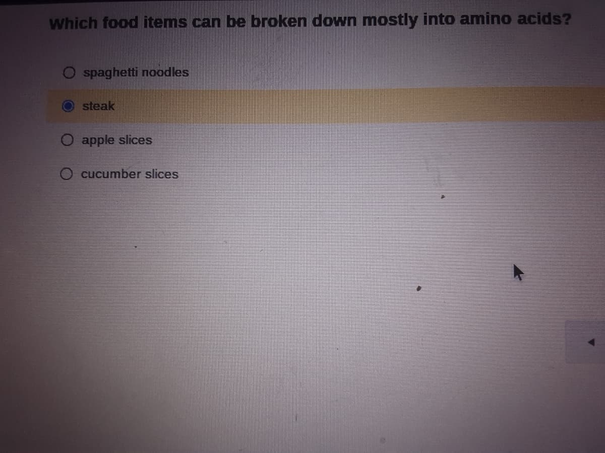 Which food items can be broken down mostly into amino acids?
spaghetti noodles
steak
O apple slices
cucumber slices
