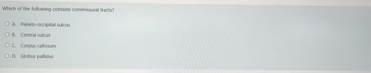 Which of the following contains commissural tracts?
O A. Parieto-occipital sulcus
O B. Central sulcus
O C. Corpus callosum
O D. Globus pallidus
