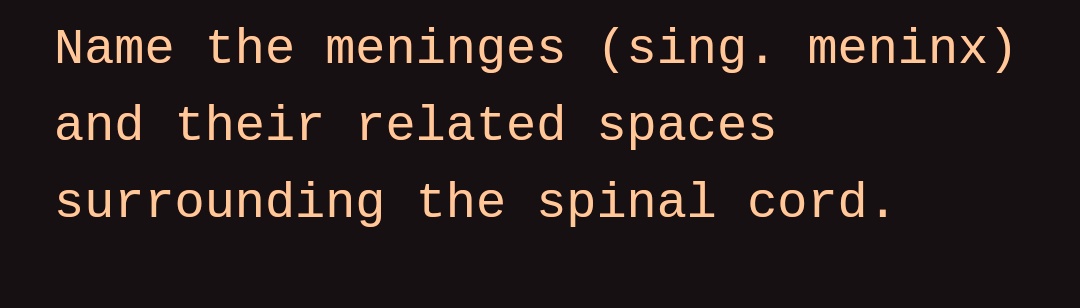 Name the meninges (sing. meninx)
and their related spaces
surrounding the spinal cord.
