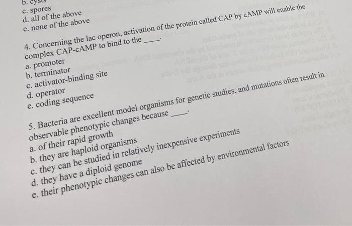 b.
c. spores
d. all of the above
e. none of the above
4. Concerning the lac operon, activation of the protein called CAP by CAMP will enable the
complex CAP-CAMP to bind to the
a. promoter
b. terminator
c. activator-binding site
d. operator
e. coding sequence
5. Bacteria are excellent model organisms for genetic studies, and mutations often result in
observable phenotypic changes because
a. of their rapid growth
b. they are haploid organisms
c. they can be studied in relatively inexpensive experiments
d. they have a diploid genome
e. their phenotypic changes can also be affected by environmental factors
