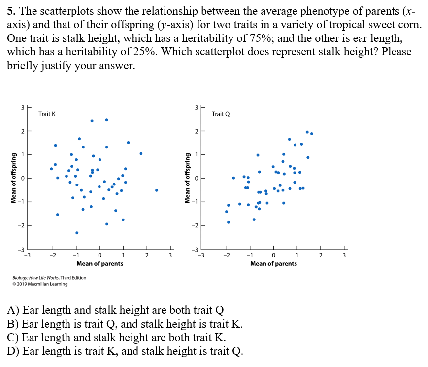 5. The scatterplots show the relationship between the average phenotype of parents (x-
axis) and that of their offspring (y-axis) for two traits in a variety of tropical sweet corn.
One trait is stalk height, which has a heritability of 75%; and the other is ear length,
which has a heritability of 25%. Which scatterplot does represent stalk height? Please
briefly justify your answer.
3
3
Trait K
Trait Q
-1
-2
-3
-3
-3
-2
-1
2
-2
-1
Mean of parents
Mean of parents
Blology: How Life Works, Third Edition
O 2019 Macmillan Learning
A) Ear length and stalk height are both trait Q
B) Ear length is trait Q, and stalk height is trait K.
C) Ear length and stalk height are both trait K.
D) Ear length is trait K, and stalk height is trait Q.
Mean of offspring
Mean of offspring
2.
