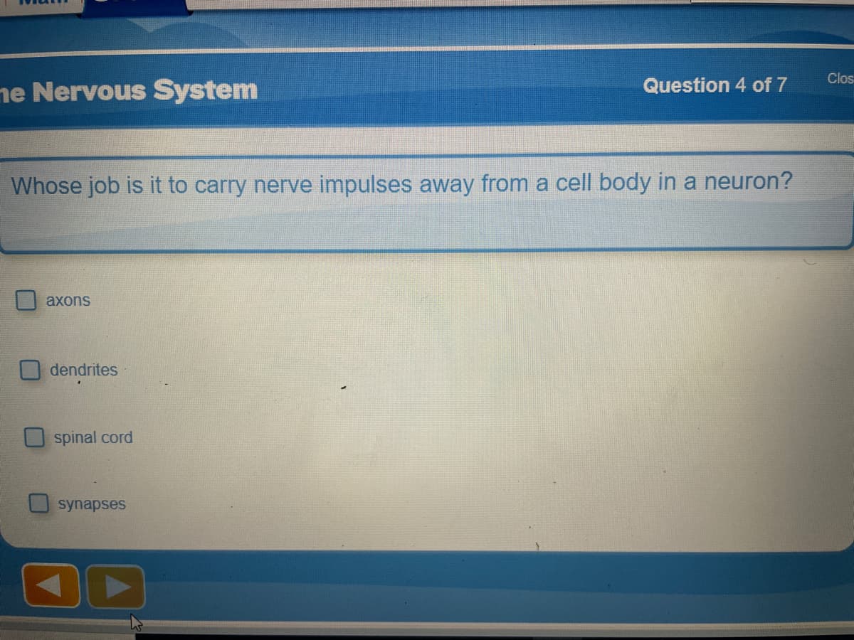 Clos
ne Nervous System
Question 4 of 7
Whose job is it to carry nerve impulses away from a cell body in a neuron?
аxons
dendrites
spinal cord
synapses
