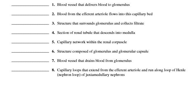 1. Blood vessel that delivers blood to glomerulus
2. Blood from the efferent arteriole flows into this capillary bed
3. Structure that surrounds glomerulus and collects filtrate
4. Section of renal tubule that descends into medulla
5. Capillary network within the renal corpuscle
6. Structure composed of glomerulus and glomerular capsule
7. Blood vessel that drains blood from glomerulus
8. Capillary loops that extend from the efferent arteriole and run along loop of Henle
(nephron loop) of juxtamedullary nephrons
