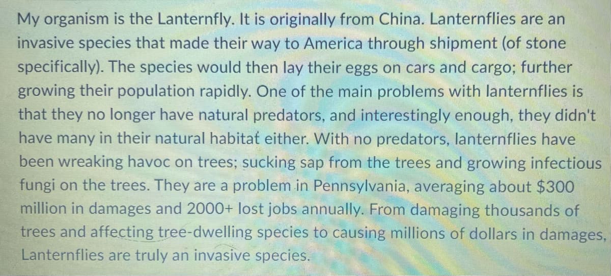 My organism is the Lanternfly. It is originally from China. Lanternflies are an
invasive species that made their way to America through shipment (of stone
specifically). The species would then lay their eggs on cars and cargo; further
growing their population rapidly. One of the main problems with lanternflies is
that they no longer have natural predators, and interestingly enough, they didn't
have many in their natural habitat either. With no predators, lanternflies have
been wreaking havoc on trees; sucking sap from the trees and growing infectious
fungi on the trees. They are a problem in Pennsylvania, averaging about $300
million in damages and 2000+ lost jobs annually. From damaging thousands of
trees and affecting tree-dwelling species to causing millions of dollars in damages,
Lanternflies are truly an invasive species.
