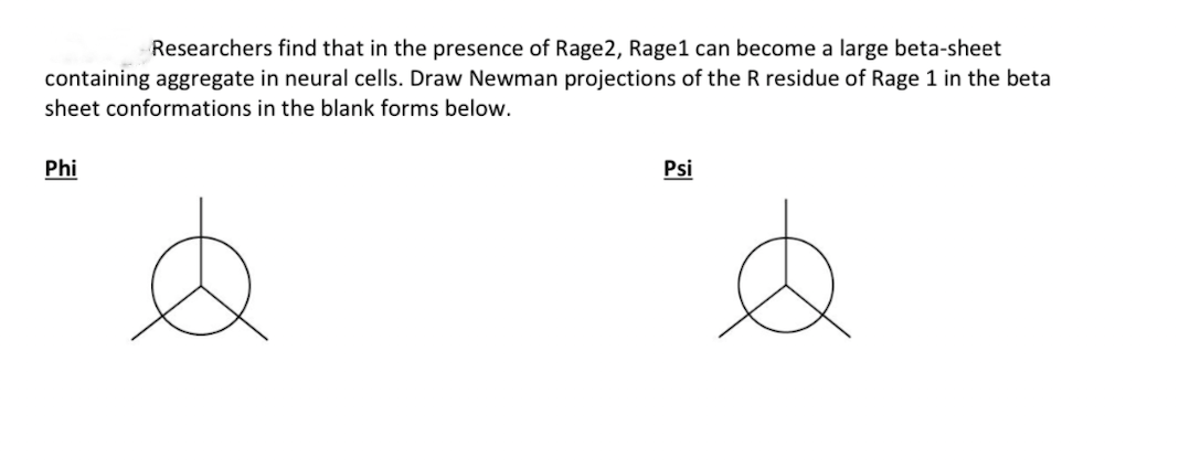 Researchers find that in the presence of Rage2, Rage1 can become a large beta-sheet
containing aggregate in neural cells. Draw Newman projections of the R residue of Rage 1 in the beta
sheet conformations in the blank forms below.
Phi
Psi