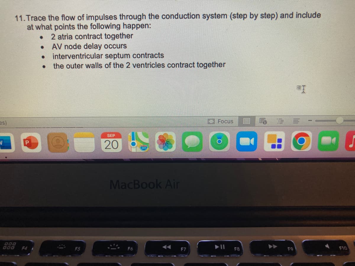 es)
V
11. Trace the flow of impulses through the conduction system (step by step) and include
at what points the following happen:
2 atria contract together
000
P
F4
●
●
AV node delay occurs
• interventricular septum contracts
the outer walls of the 2 ventricles contract together
●
F5
SEP
20
MacBook Air
F6
F7
Focus
▶11
F8
BO
F9
=I
F10