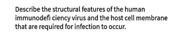 Describe the structural features of the human
immunodeficiency virus and the host cell membrane
that are required for infection to occur.