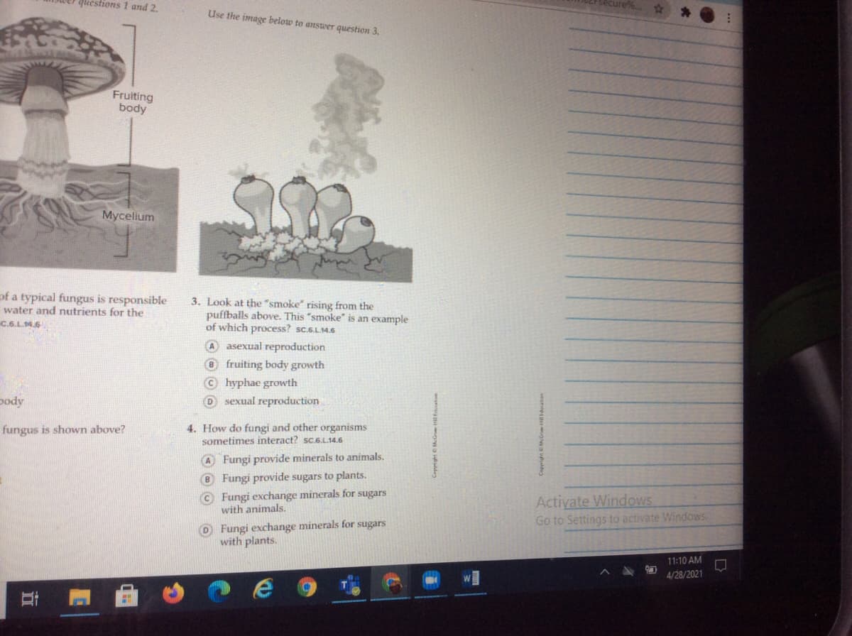 questions 1 and 2.
Use the image below to answer question 3.
Fruiting
body
Mycelium
of a typical fungus is responsible
water and nutrients for the
3. Look at the "smoke" rising from the
puffballs above. This "smoke" is an example
of which process? sc.6.L14.6
C.6.L.4.6
A asexual reproduction
® fruiting body growth
© hyphae growth
pody
sexual reproduction
4. How do fungi and other organisms
sometimes interact? sc.6.L.14.6
fungus is shown above?
A Fungi provide minerals to animals.
8 Fungi provide sugars to plants.
© Fungi exchange minerals for sugars
with animals.
Activate Windows
Go to Settings to activate Windows
O Fungi exchange minerals for sugars
with plants.
11:10 AM
4/28/2021
立
