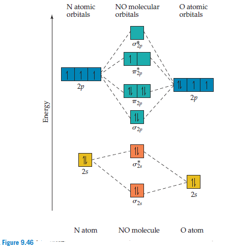 N atomic
orbitals
NO molecular
orbitals
O atomic
orbitals
2p
1 11
2p
11
|1
2s
2s
N atom
NO molecule
O atom
Figure 9.46
Energy
