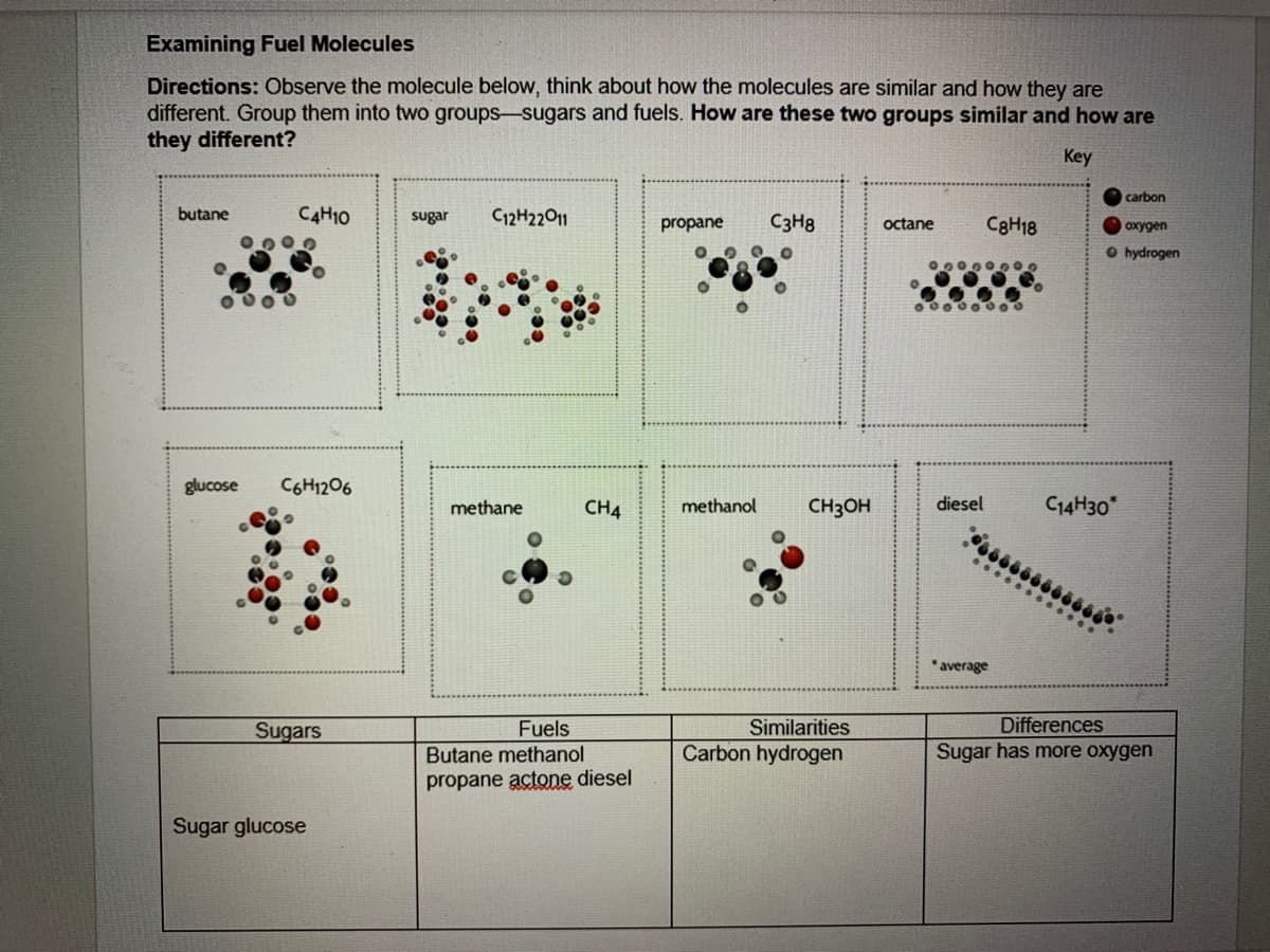 Examining Fuel Molecules
Directions: Observe the molecule below, think about how the molecules are similar and how they are
different. Group them into two groups-sugars and fuels. How are these two groups similar and how are
they different?
Key
carbon
butane
CAH10
sugar
C12H22011
C3H8
CaH18
propane
octane
охудеn
O hydrogen
glucose
C6H1206
methane
CH4
methanol
CH3OH
diesel
C14H30*
average
Differences
Similarities
Carbon hydrogen
Sugars
Fuels
Butane methanol
Sugar has more oxygen
propane actone diesel
Sugar glucose
