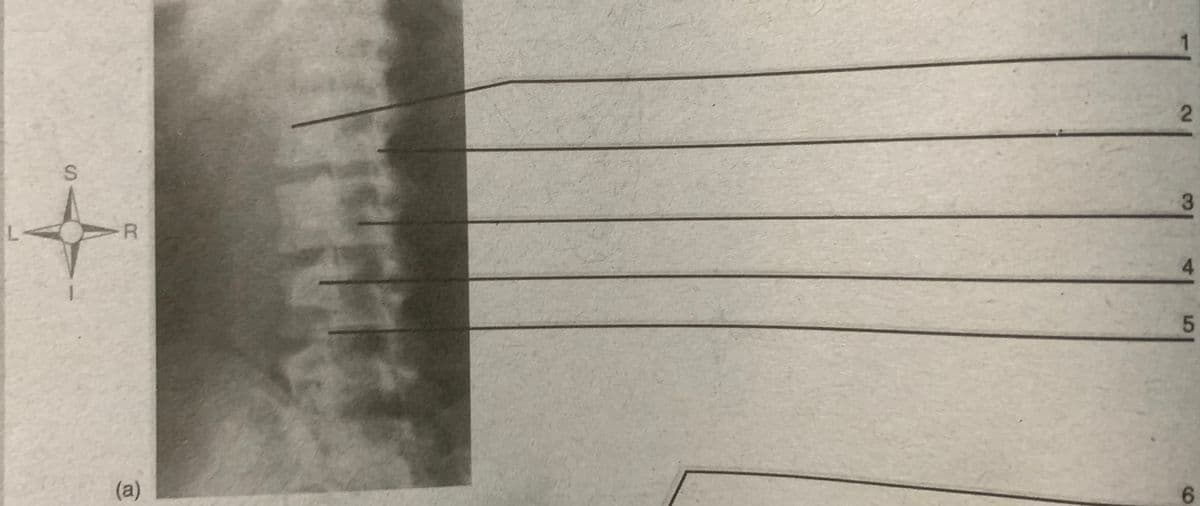 3
4.
5.
(a)
6.
2.
