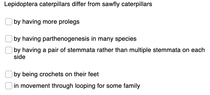 Lepidoptera caterpillars differ from sawfly caterpillars
by having more prolegs
by having parthenogenesis in many species
|by having a pair of stemmata rather than multiple stemmata on each
side
by being crochets on their feet
in movement through looping for some family
