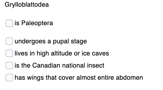 Grylloblattodea
is Paleoptera
undergoes a pupal stage
lives in high altitude or ice caves
is the Canadian national insect
has wings that cover almost entire abdomen
