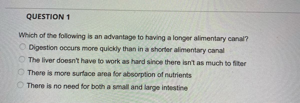 QUESTION 1
Which of the following is an advantage to having a longer alimentary canal?
Digestion occurs more quickly than in a shorter alimentary canal
The liver doesn't have to work as hard since there isn't as much to filter
There is more surface area for absorption of nutrients
O There is no need for both a small and large intestine
