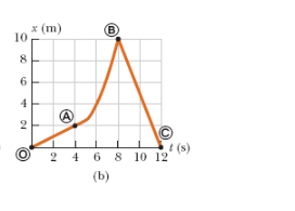 x (m)
10
00
8
6
4
O
A
(B)
2 4 6 8 10 12
(b)