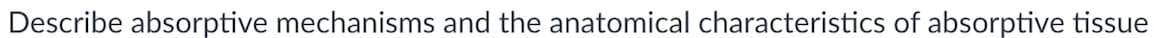 Describe absorptive mechanisms and the anatomical characteristics of absorptive tissue

