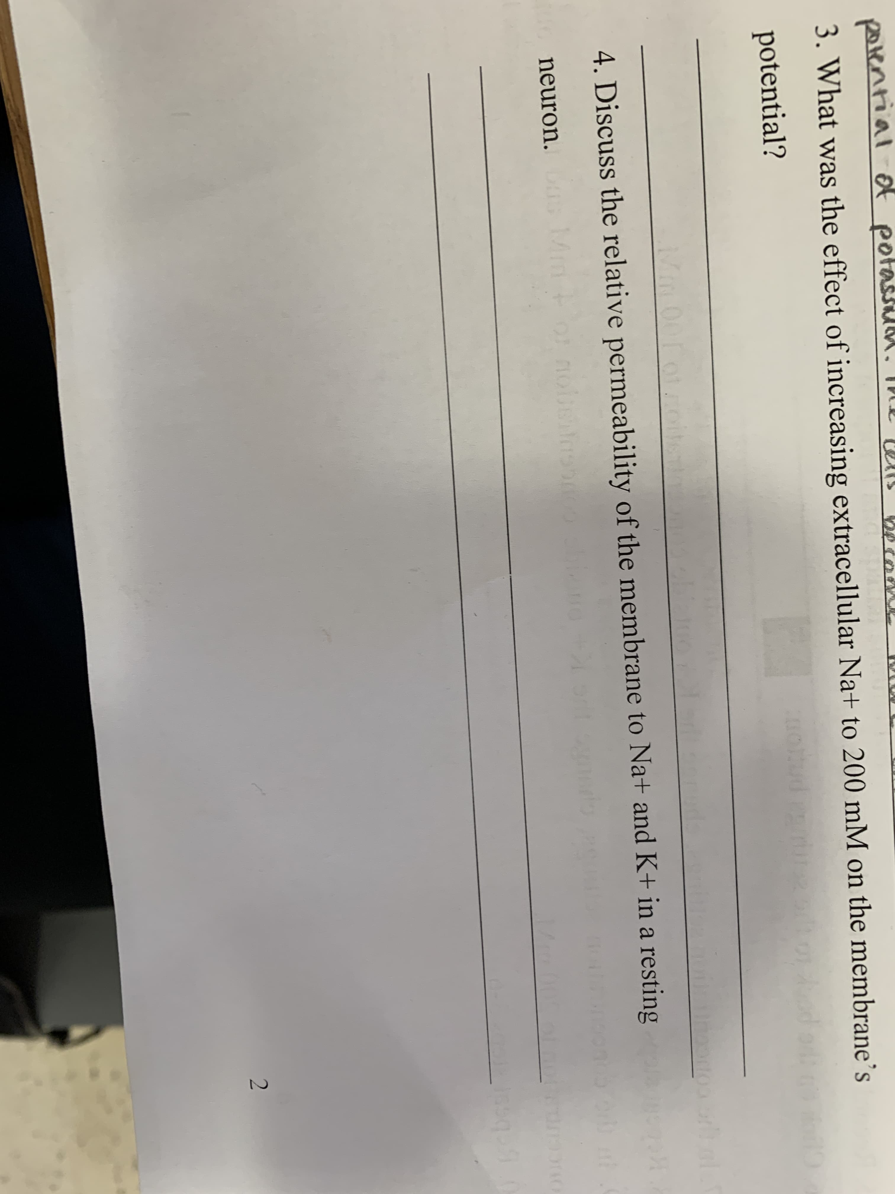 porential ofpota
3. What was the effect of increasing extracellular Na+ to 200 mM on the membrane's
potential?
4. Discuss the relative permeability of the membrane to Na+ and K+ in a resting
neuron.
Mm
2.
