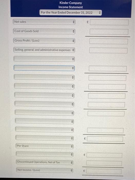Net sales
Cost of Goods Sold
Gross Profit/(Loss)
Selling, general, and administrative expenses
Per Share
Kinder Company
Income Statement
For the Year Ended December 31, 2022
Discontinued Operations, Net of Tax
Net Income /(Loss)
£
£