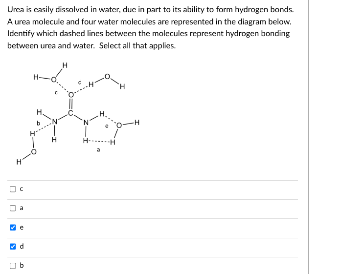 Urea is easily dissolved in water, due in part to its ability to form hydrogen bonds.
A urea molecule and four water molecules are represented in the diagram below.
Identify which dashed lines between the molecules represent hydrogen bonding
between urea and water. Select all that applies.
H
U
U
>
с
a
e
✔ d
H-
b
H-
e
O-H
T
H-------H
a