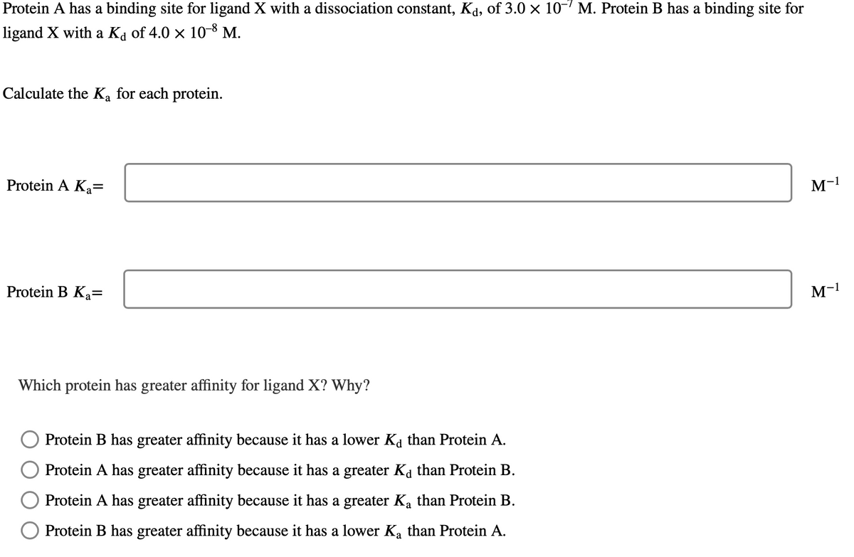 Protein A has a binding site for ligand X with a dissociation constant, Ka, of 3.0 × 10-' M. Protein B has a binding site for
ligand X with a Ka of 4.0 x 10-8 M.
Calculate the K, for each protein.
Protein A Ka=
M-1
Protein B Ka=
M-1
Which protein has greater affinity for ligand X? Why?
Protein B has greater affinity because it has a lower Ka than Protein A.
Protein A has greater affinity because it has a greater Ka than Protein B.
Protein A has greater affinity because it has a greater Ka than Protein B.
O Protein B has greater affinity because it has a lower Ka than Protein A.
