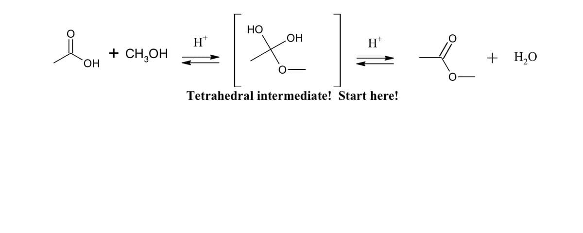 НО
H*
HO
H*
+ CH,OH
ОН
+ H,0
Tetrahedral intermediate! Start here!
