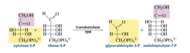 CH,OН
Н
CH,OH
C=0
НО-
Н-
+ H-
Н-
Н
C=0
НО-
-ОН
Н-
Н-
Н-
-H-
transketolase
HO-
-HO-
-HO-
HO-
HO-
н— он
TPP
Н
CH,OPO,2
xylulose-5-P
ČH,OPO,
ribose-5-P
HO-
CH,OPO,
ČH,OPO,
glyceraldehyde-3-P sedoheptulose-7-P
