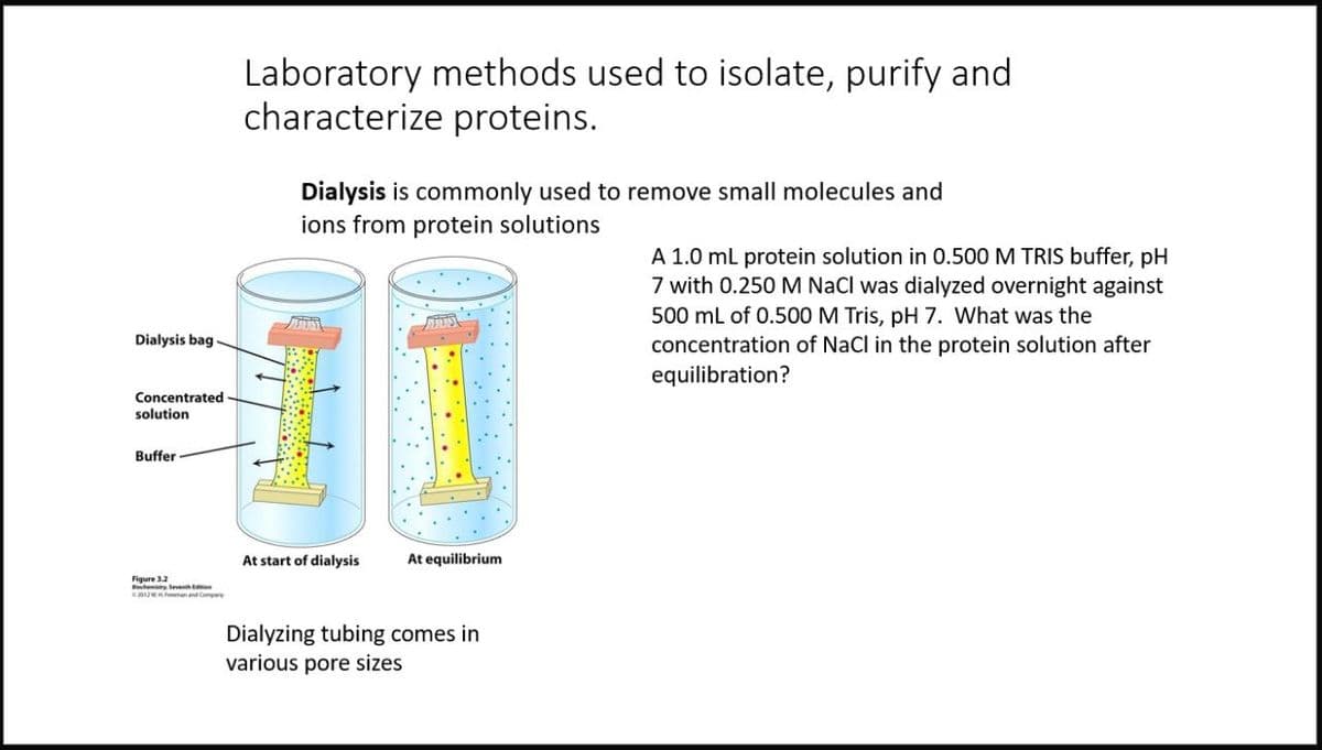 Laboratory methods used to isolate, purify and
characterize proteins.
Dialysis is commonly used to remove small molecules and
ions from protein solutions
A 1.0 ml protein solution in 0.500 M TRIS buffer, pH
7 with 0.250 M NaCl was dialyzed overnight against
500 mL of 0.500 M Tris, pH 7. What was the
concentration of NaCl in the protein solution after
equilibration?
Dialysis bag
Concentrated
solution
Buffer
At start of dialysis
At equilibrium
Figure 32
echemi Seventh en
e2012weeman and Compary
Dialyzing tubing comes in
various pore sizes
